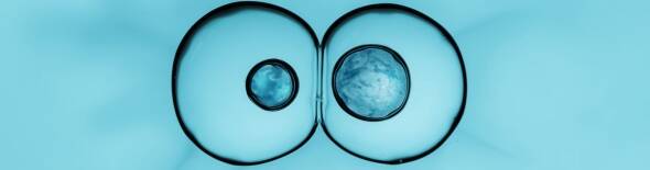 mosaic ivf