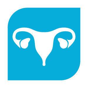 Uterus - IVF