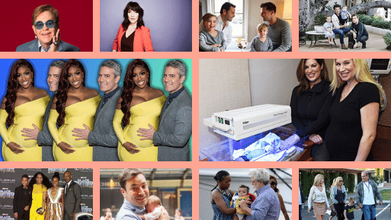 10-celebrities-surrogates