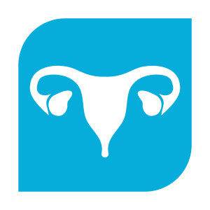 Uterus - IVF