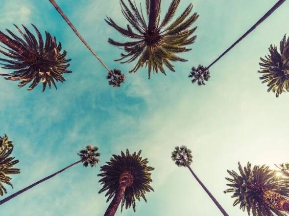 fertility testing los angeles